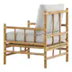 Lenestol Venture Home Cane
