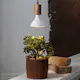 LED-Lampe Star Trading E27 PAR38 Plant Light Varmhvit