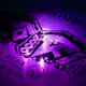 LED-belysning for Viking Discs til Frisbeegolf, 10 stk