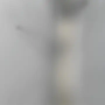 Glassbytte Frostet Glass Swedoor Innerdør