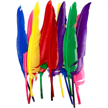 Fjær Creativ Company Ass Farger 27 cm 12 stk/1 Pk