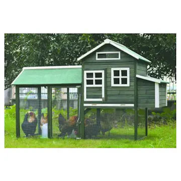 Hønsehus Ryom med Luftegård
