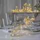 Lyslenke Star Trading Dew Drop LED 100 Lys med 11 ulike funksjoner