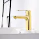 Servantbatteri Bathlife Springa