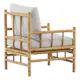 Lenestol Venture Home Cane