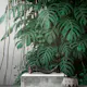 Tapet Living walls The Wall 38241-1