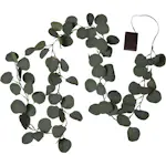 Girlander Star Trading Eucalyptus