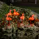 Dekorasjonsbelysning Gnosjö Konstsmide Flamingoer Akryl 5 stk LED