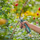 Beskjærersaks Gardena AssistCut