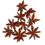 Anisstjerner Creativ Company 10 stk/1 Pk