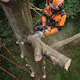 Motorsag STIHL MSA 220 C-B Batteridrevet