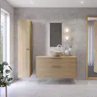 Høyskap FOSSBAD Innovent