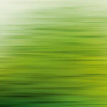 Tapet Living walls The Wall 38261-1