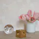 Tapet Mimou Windflower Rosa