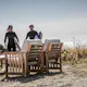 Lenestol Hillerstorp Gotland Utendørs