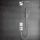 Inbyggingstermostat Hansgrohe ShowerSelect Highflow