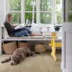 Parkett Pergo W4069 Castle Oak