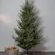 Juletre Star Trading Uppsala 210 cm