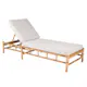 Solseng Venture Home Cane