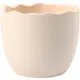 Eggeskall Creativ Company Hvit 24 stk/1 Pk
