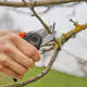 Beskjæringssaks Gardena Expertcut