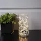 Lyslenke Star Trading Dew Drop LED 100 Lys