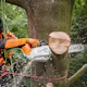 Motorsag STIHL MSA 220 C-B Batteridrevet