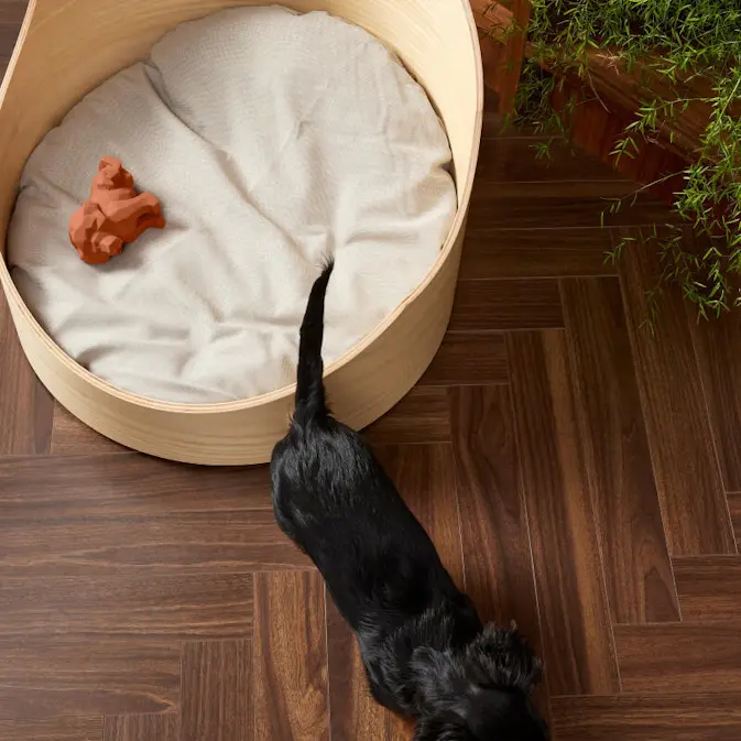 Laminatgulv BerryAlloc Chateau+ Walnut Brown A+B