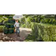 Hekksaks STIHL HSA 60 Med Batteri & Lader