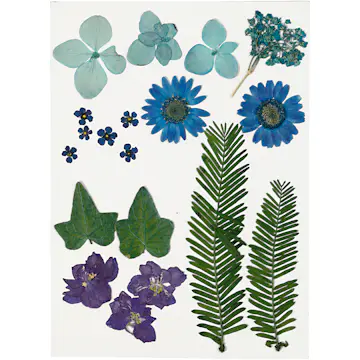 Tørkede Creativ Company Blomster og Blader Blå 19 Mix/1 Pk