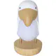 Nattlampe Star Trading Toucan NightLight USB