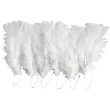 Dunfjær Creativ Company Ass Farger 11-17 cm 1 Pk Hvit