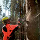 Kjedesag Metabo MS 36-18 LTX BL 40 uten Batteri og Lader