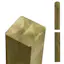 Tre