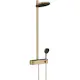 Takdusjsett Hansgrohe Pulsify S 260 2jet