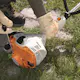Gresstrimmer STIHL FS 38