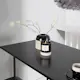 Spisegruppe Venture Home Rax med 4 stk Jonna Stoler