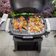 Stekeplate Weber Q1XXXn