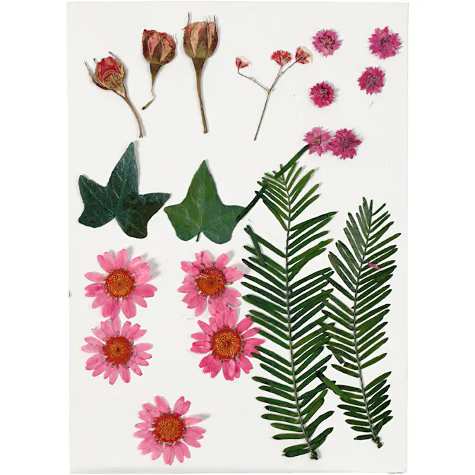 Tørkede Creativ Company Blomster og Blader Lysrød 19 Mix/1 Pk