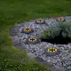 Solcelle-Spotlight Star Trading 2-p Lawnlight