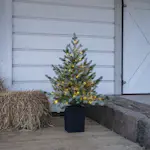 Borddekorasjon Star Trading GranGreyland95 cm 80Lb