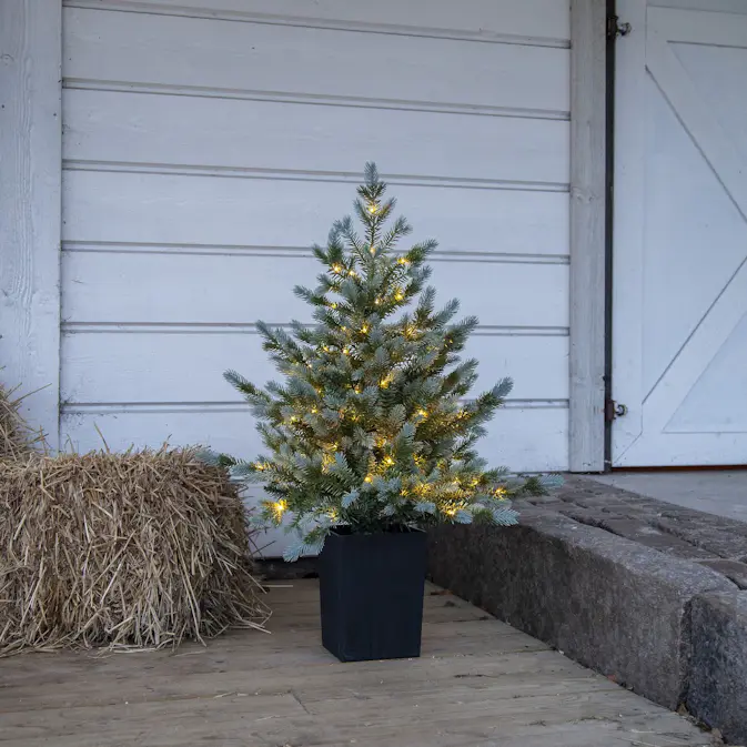 Borddekorasjon Star Trading GranGreyland95 cm 80Lb