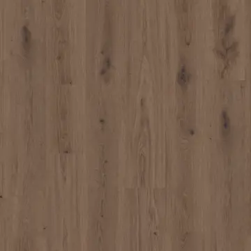 Vinylgulv Tarkett Elegance Rigid 55 Delicate Oak Brown