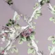 Tapet Laura Ashley Elwyn Lila