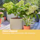 Vanningssett Gardena Micro-Drip Balkong