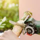 Multisag Bosch Power Tools EasyCut 12V 2,5 Ah