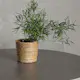 Spisegruppe Venture Home Piazza Ø120 cm med 4 stk Edvin Stoler