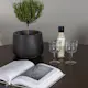 Spisegruppe Venture Home Kaseidon Ø100 cm med 4 stk Rosie Stoler