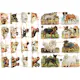 Glansbilder Creativ Company Hunder 165x235 cm 2 Ark/1 Pk