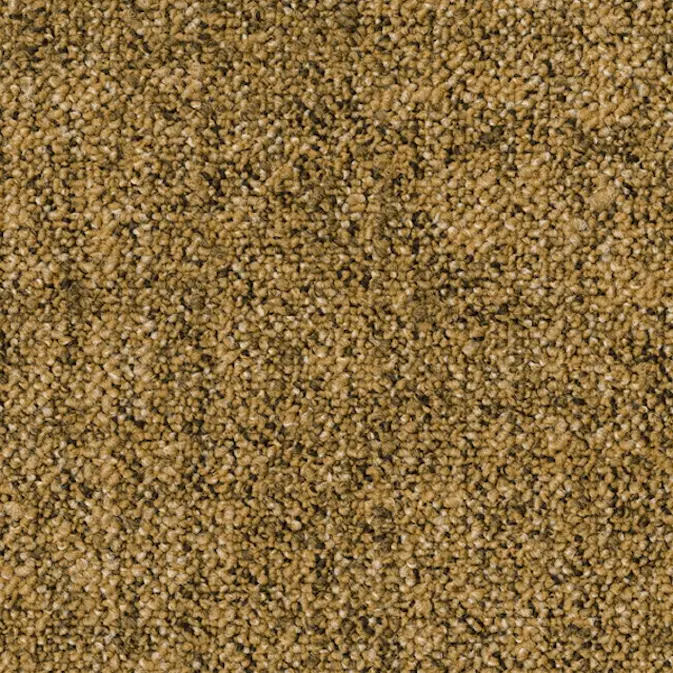 Teppeflis Tarkett Desso Linon AA83 B8 6022